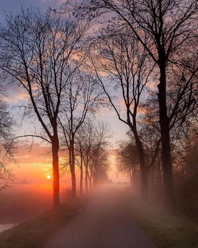 133640463_1483459335186745_5291702628892157864_o