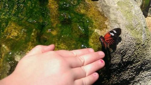 16:41:03 GMT+0100 (WAT)