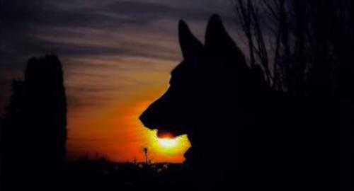 EFDDD81D-1FF4-4793-9B20-C4369AC43580