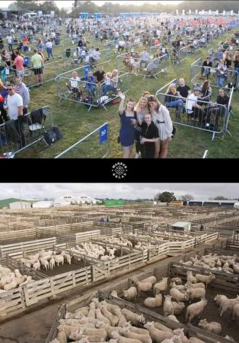 15:19:30 GMT-0500 (EST)