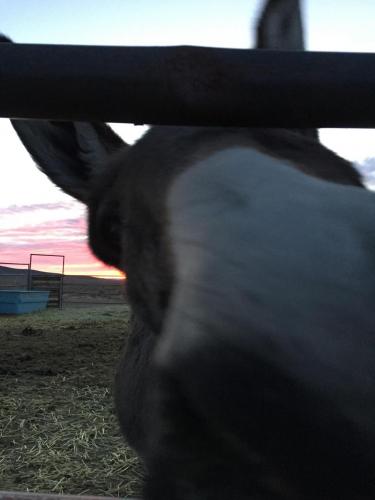 20:11:43 GMT-0800 (PST).image