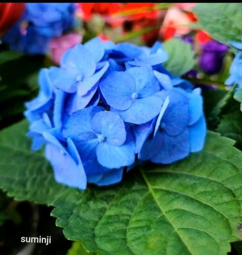 22:28:20 GMT+0100 (WAT)