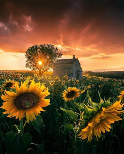 tumblr_7b544c74d562e98af13cbd986a60a771_2509a477_540