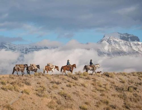 133803907_10215637245318915_4372004664502796428_n