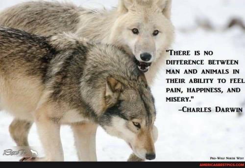 00:36:35 GMT-0600 (CST).image