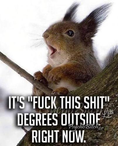 00:20:52 GMT-0800 (PST).image