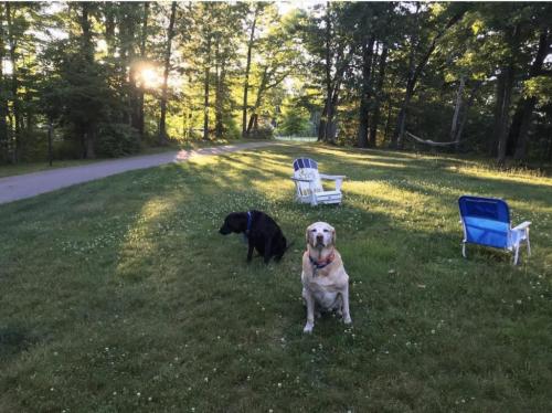 21:45:51 GMT+0100 (WAT).image