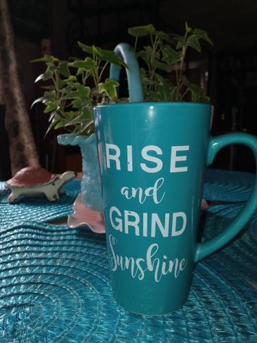 10:51:07 GMT-0600 (CST)