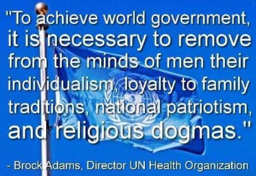 128703837_3732228986857377_1541827850872200484_n