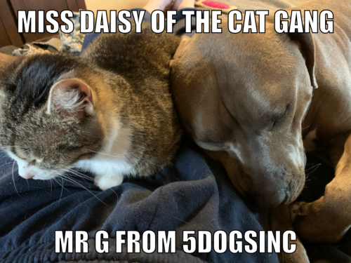 11:06:19 GMT-0600 (CST).image