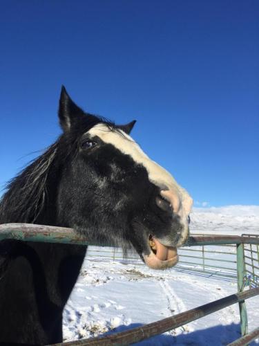 08:25:52 GMT-0800 (PST).image