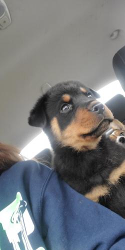 15:41:30 GMT-0800 (PST)