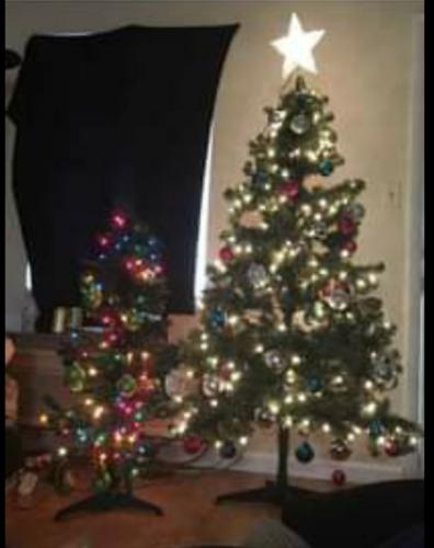 03:50:12 GMT-0600 (CST)