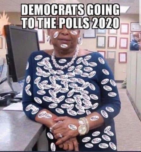 2020 dem voter