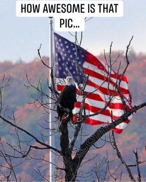 14:40:31 GMT+0100 (WAT).png