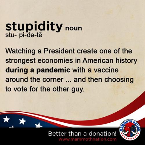 stupidity