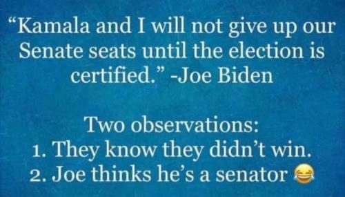 kamala and joe senate seats