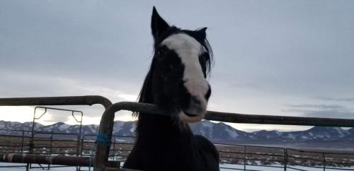 09:54:19 GMT-0800 (PST).image