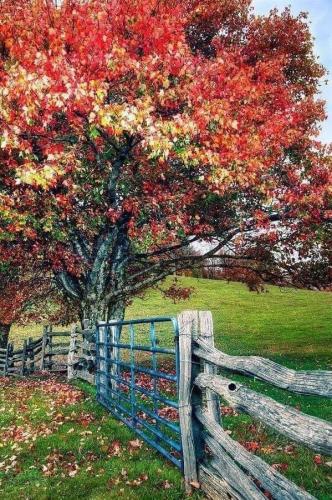 07:49:15 GMT-0600 (CST)