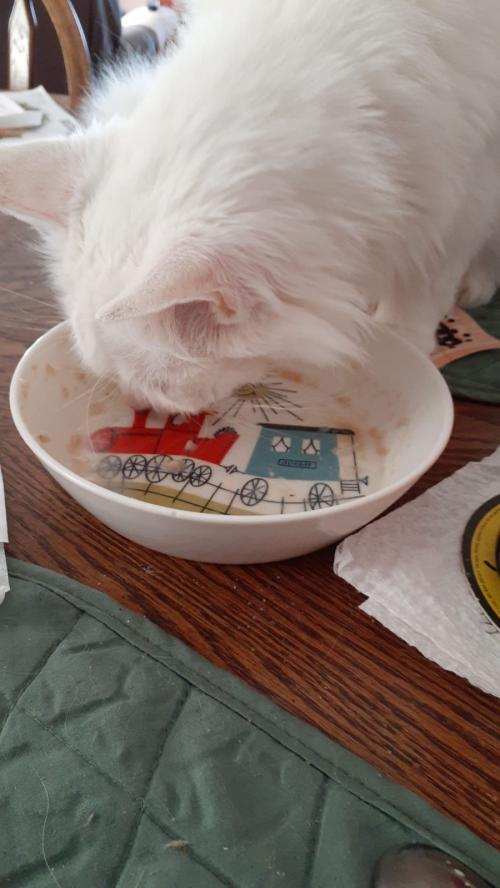 16:49:40 GMT-0600 (CST).image