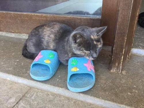 23:21:24 GMT+0100 (WAT)