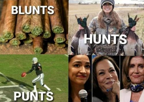 democrats391
