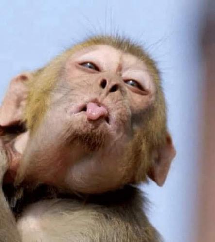 21:49:27 GMT-0500 (EST)