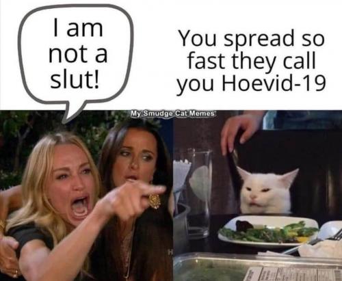 17:48:15 GMT-0500 (EST).image