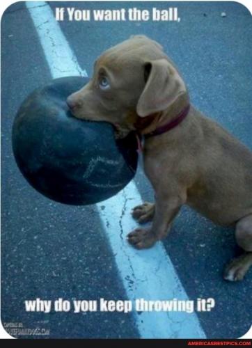 23:05:48 GMT-0600 (CST).image