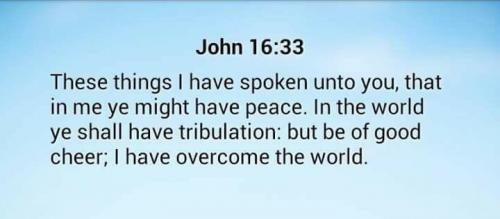 5A2BA384-BAF4-4581-9785-2BD077623185