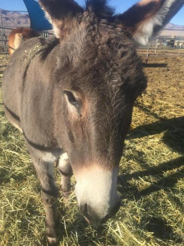 07:11:33 GMT-0800 (PST).image