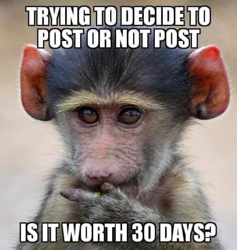 22:11:48 GMT-0800 (PST).image