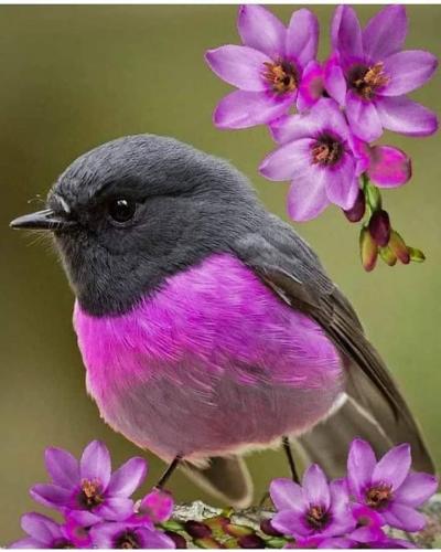 21:44:44 GMT-0600 (CST)