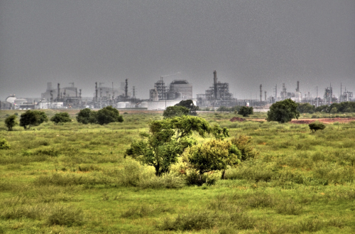 Screen Shot 2020-12-14 at 12.17.56 AM