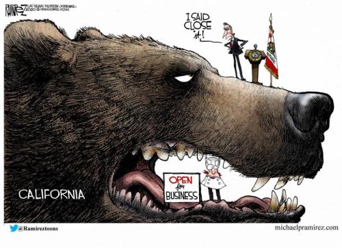 8B3C67AF-59A3-4554-A47E-B209BD6FF49B-40184-000006B4F97A81A7