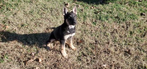 16:29:18 GMT-0600 (CST)