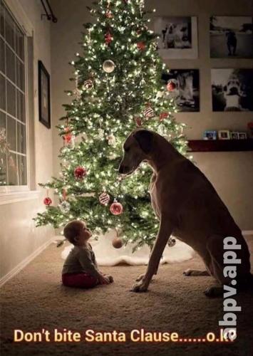 07:05:04 GMT-0600 (CST).image