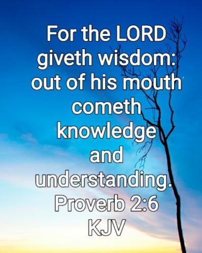 01:19:34 GMT-0800 (PST)