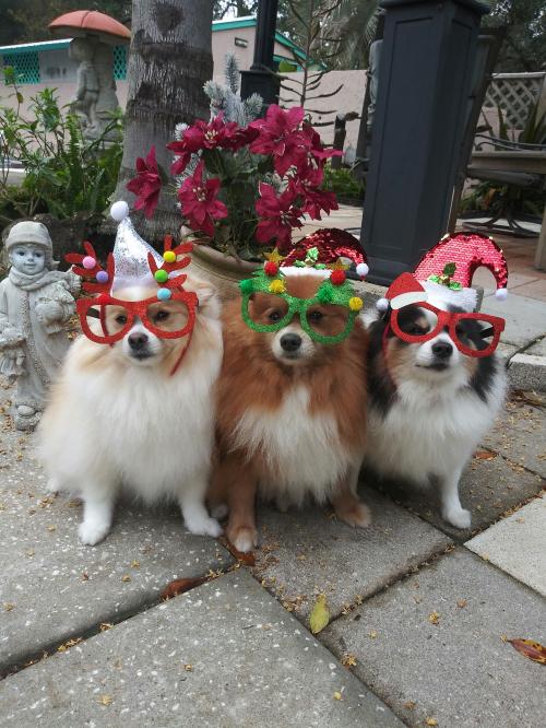 22:13:52 GMT-0500 (EST)