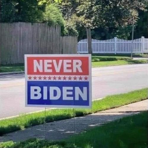biden237