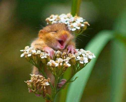 23:30:13 GMT-0600 (CST)