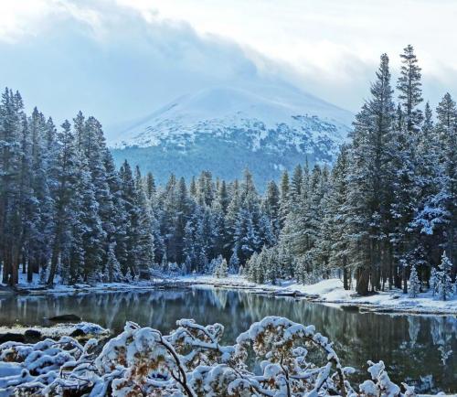 09:53:08 GMT-0600 (CST)