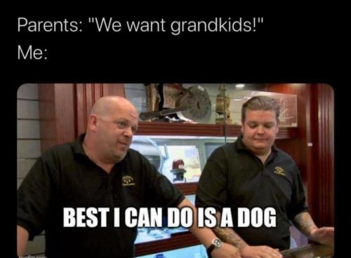 16:20:19 GMT-0500 (EST)