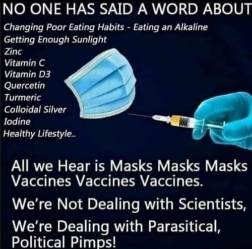 130806812_2776329242623105_864954228834736378_n