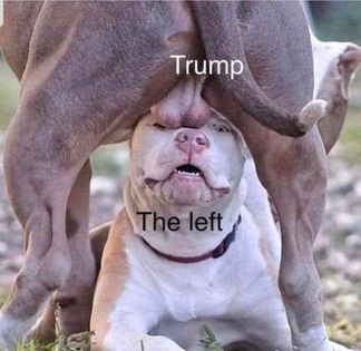 133522448_735301610446432_7381514820487895829_n