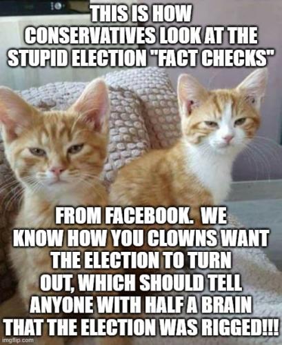 129249472_390759005565978_1326948788632654807_n