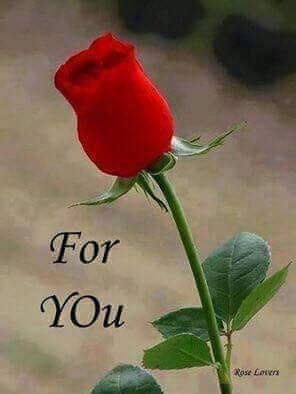 16:04:26 GMT-0800 (PST).image