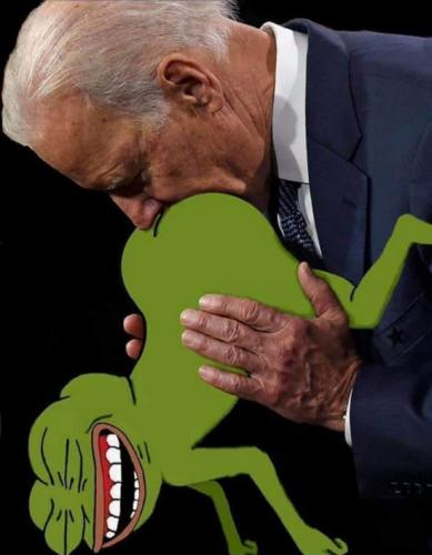 biden273