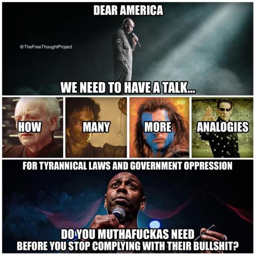 131151412_2445775772396289_2857506825527790422_o