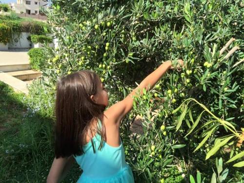 23:10:36 GMT+0100 (WAT)